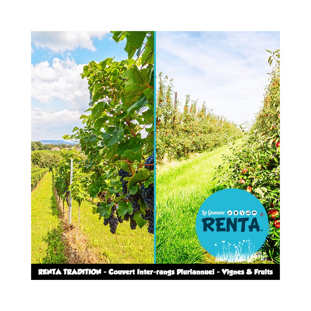 RENTA TRADITION - Couvert Inter-rangs Pluriannuel pour Viticulture et Arboriculture – Sols Normaux et Acides