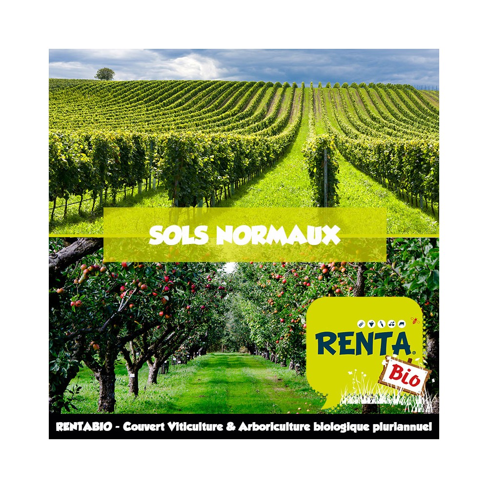 RENTA BIO - Couvert Viticulture et Arboriculture Pluriannuel - Sols Normaux - (minimum 70% Bio) **